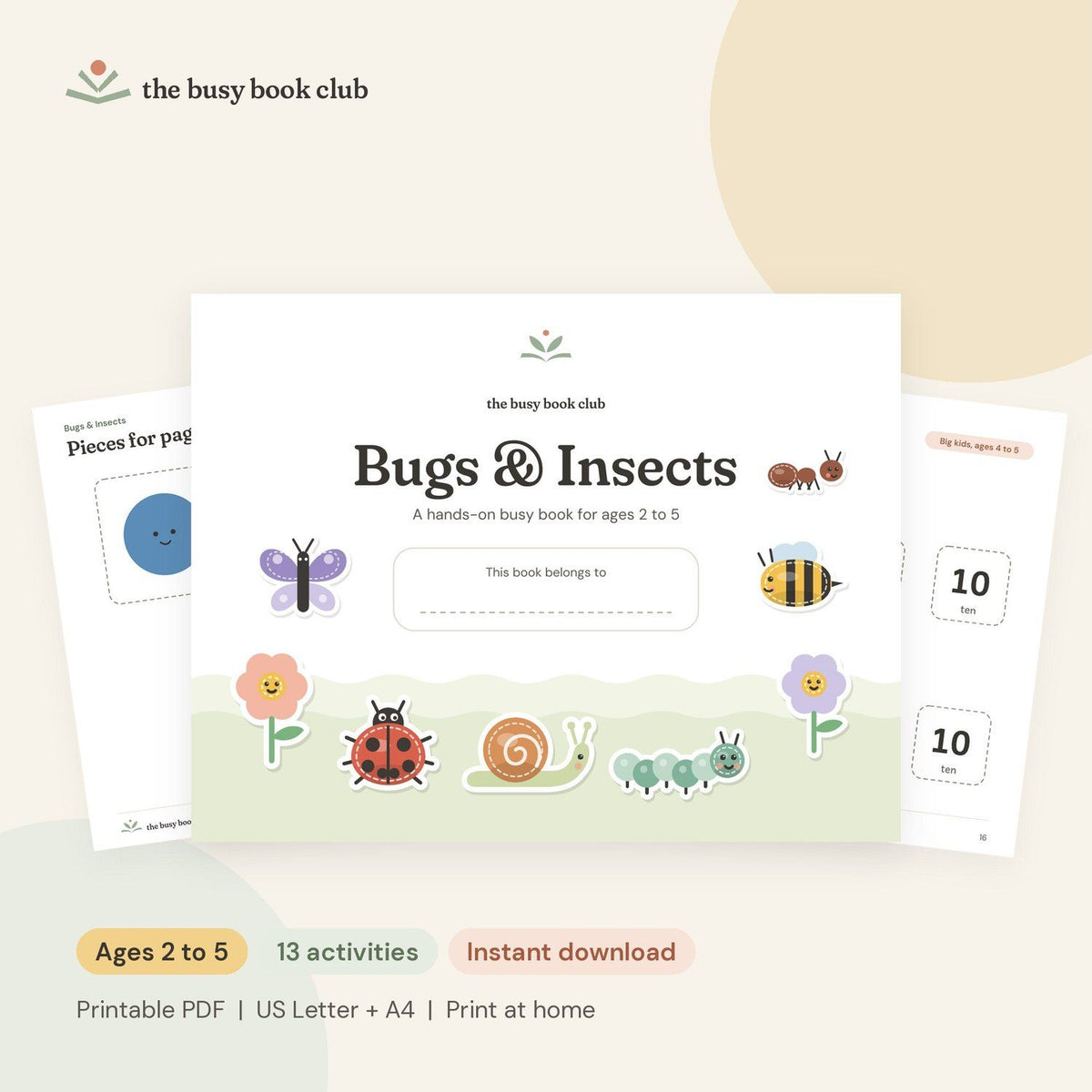 Bugs & Insects Busy Book cover and pages