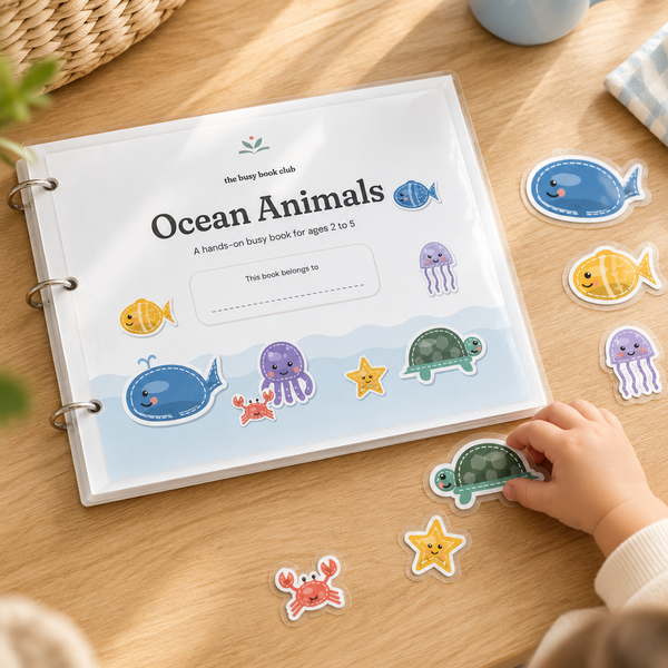 Ocean Animals